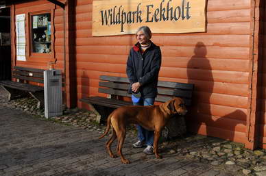 Einmal im Jahr gehen wir in den Wildpark Eekholdt und besuchen *unsere Ahnen* die Wlfe.<br>Es ist immer ein riesen Spa fr alle Zwei- und Vierbeiner, und eine schne Abwechslung zu unseren Spaziergngen im Alltag.