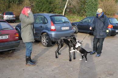 Auf dem Parkplatz vor dem Wildpark warten wir, bis Alle da sind.