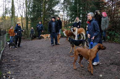 Danach warteten wir auf dem Besucherhgel vor dem Wolfsgehege auf die Wolfsftterung.