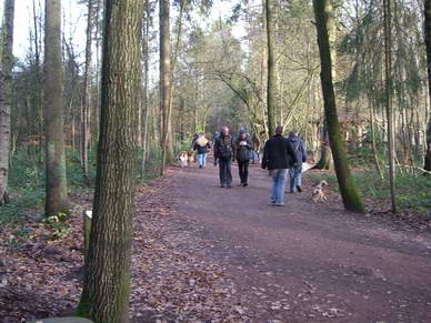 Nach der Wolfsftterung geht es weiter im Wildpark...