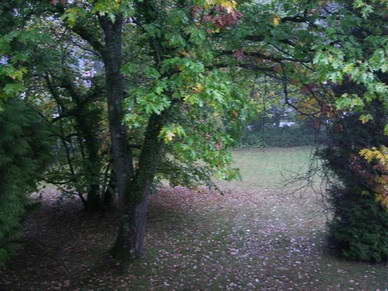 Der Baum, unter dem die vielen roten Bltter liegen ist eine Edelkastanie (Maroni), und wer wollte, konnte sich eine Tte davon mit nach Hause nehmen.<br>Heie Maroni... mhhh.... .