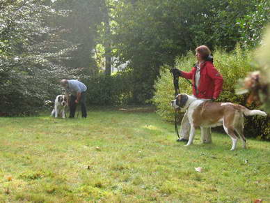 Auch Gabi und ihr Mann waren mit den Hunden Franzi und Grete fleiig am ben.