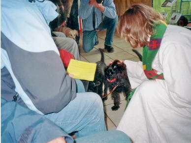 ...und segnete im Anschluss an den Gottesdienst die Tiere.