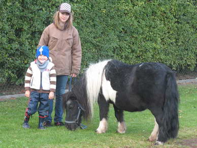 Das Pony *Rowdie* hatte spter noch seinen groen Auftritt.