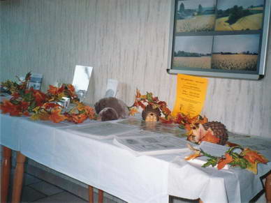 Ein herbstlich gedeckter Tisch mit Informationen zum Tierschutz.