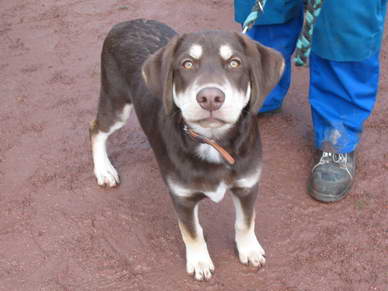 Der kleine *Sammy* zeigte sich von seiner fotogenen Seite.
