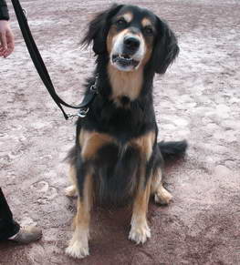 Bin ich nicht ein hbscher Bub?