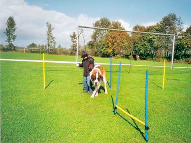 Zwischendurch wollte Navy abbiegen, aber Marvin lie sich davon nicht beeindrucken.