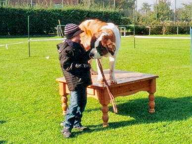 Navy musste auf den Tisch springen...