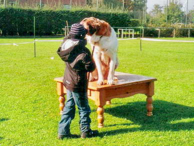 ...und *Sitz* machen.