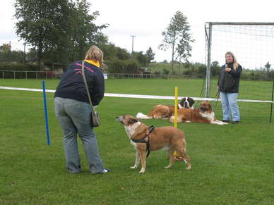 Jeder konnte bei diesem Wettbewerb mitmachen...