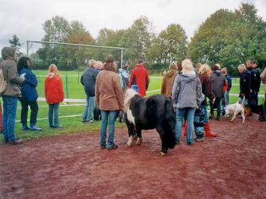 Pony *Rowdie* begutachtete mit Frauchen kurz den Parcour...