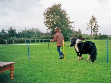 ...und beschloss dann zur Freude aller Besucher, ebenfalls daran teilzunehmen.