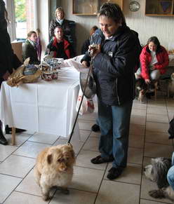 Der 3. Platz fr den schnsten Mischling ging an diese kleine Schhnheit.