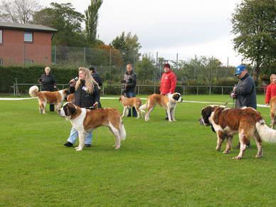 Das schlechte Wetter zeigte sich mit einer kurzen Regenpause gndig, und wir konnten nach der Preisverleihung der Wettbewerbe mit der Bernhardinerparade geginnen.