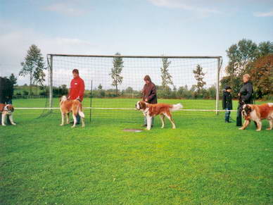 Jeder wartete brav und geduldig bis er an der Reihe war und vorgestellt wurde.