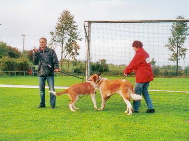 Nur die 5 Monate alte kleine Maus hier fand es zu langweilig und wollte lieber spielen :o)
