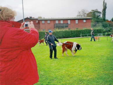...waren sie fr viele Besucher ein besonderes Highlight.
