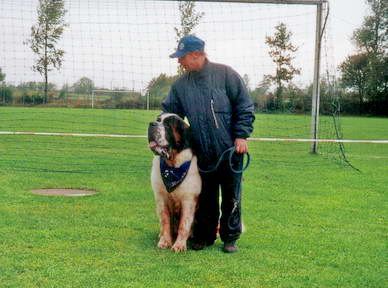 Der imposante Rde *Hardy* zog unzhlige Blicke auf sich, und war wohl der meistfotografierteste Hund des Tages.