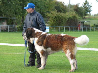 Hier nochmal *Hardy in voller Gre.*