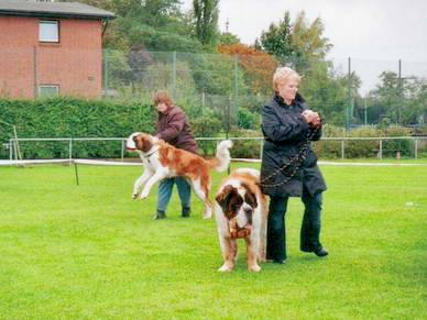 Die Bernhardinerdame im Hintergrund roch wohl die leckeren Wrstchen auf dem Grill :o)