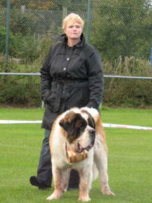 Der lteste Bernhardiner des Tages war Opi *Olaf* Mit seinen ber 11 Jahren stolzierte der gutmtige Rentner noch mit dem Junggemse ber die Wiese.