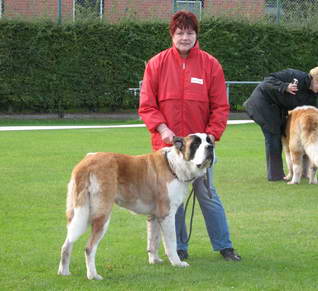 Diese Hndin geniet es sichtlich, wie Frauchen ihr die Ohren krault.