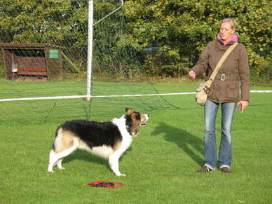 Deren Besitzerin Nicole Degner, Mitarbeiterin der Filmtierzentrale erzhlte unseren Besuchern von der Arbeit eines Filmhundes.