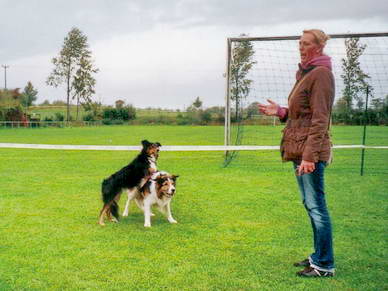 Natrlich zeigten uns die beiden Hunde auch einen Auszug ihres umfangreichen Knnens...