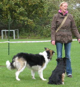 Ein eingespieltes Team...