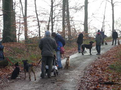 Im Wald sind die Hunde brav an der Leine. <br>Wenn man sich an diese kleine Regel hlt, bekommt man auch keine Probleme mit Jgern oder Frstern.