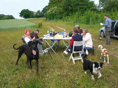 Jede Woche unternehmen wir Spaziergnge im Gelnde.<br>Jeder Hund kann mitgehen, sofern er sozialvertrglich ist, eine Grundbasis an Erziehung hat und nicht abhaut oder jagt, den der groe Spa soll im Vordergrund stehen, nicht Stress oder rger.<br>Hier ein kleiner Auszug unserer Sommerbilder mit Picknick :o)