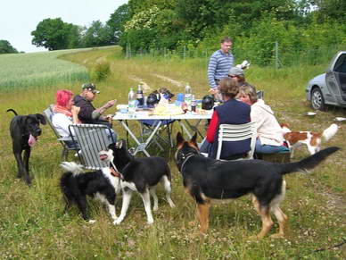 Jeder brachte etwas zu Essen undzu Trinken mit, und der Tisch war mehr als reichlich gedeckt :o)