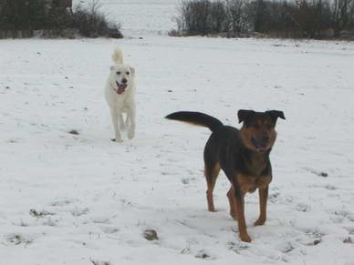 Rocky und Lana