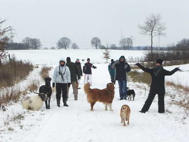 Da wir fast immer nur die Hunde fotografieren, denn um die geht es letztendlich ja, machten wir heute auch mal ein Gruppenbild.