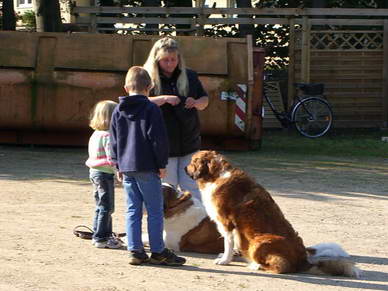 Die Vorsitzende des Tierheims Bad Segeberg fragte bei uns an, ob wir am Kindertag einen kleinen Vortrag ber den richigen Umgang mit Hunden fr die Kinder halten wrden.<br>Kinder und Hunde? Wir sind dabei :o)