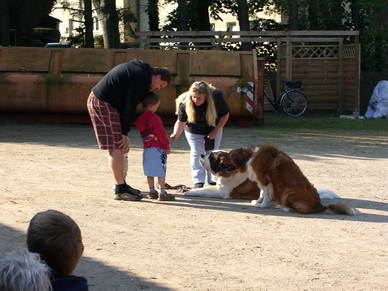 Hunde streicheln und fttern ist immer toll fr die Kinder.