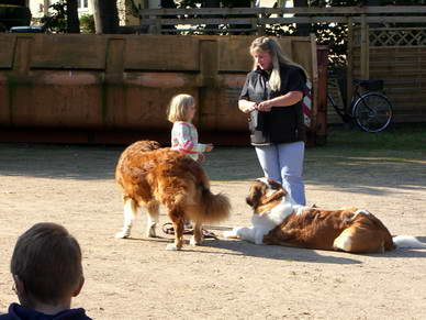 Und da es ihr zu einfach schien einen Hund zu fttern...