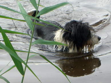 Auf jeden Fall genoss sie das Wasser.