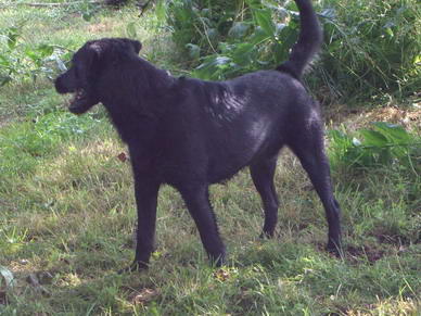 Lilly