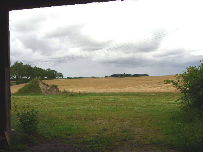 Als wir das Grundstck im Sptsommer 2012 kauften, befand sich darauf noch ein Getreidefeld und ein groer Sandhaufen.