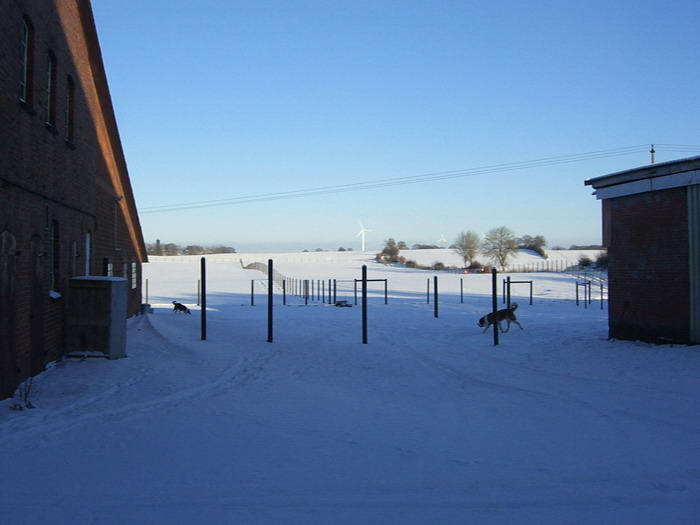 Wieder fllt reichlich Schnee und bremst die Arbeiten am Zaun.