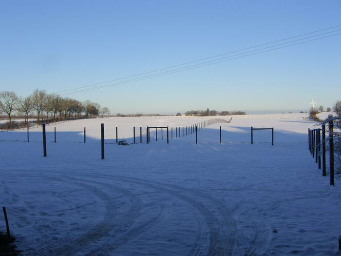 Im Schnee sieht man deutlich, welche Gre der Auslauf haben wird.