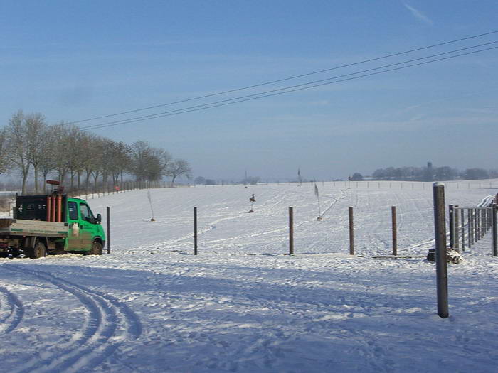 Alle Bume sind platziert und nach der Frhstckspause beginnen die Landschaftsgrtner mit dem einbuddeln der Bume.