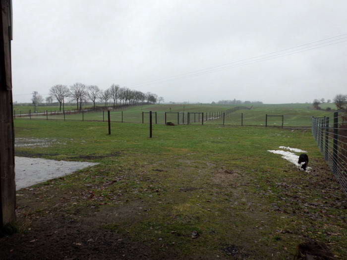 Nun muss nur noch die Wiese wachsen...